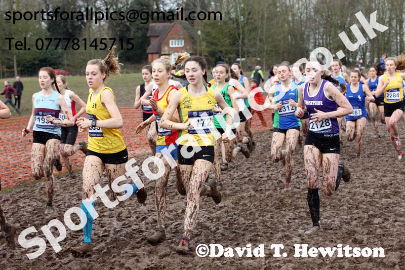 Womens under-17s 2018 British Inter Counties Cross Country Champs., Prestwold Hall, Loughborough. Photo: David T. Hewitson/Sports for All Pics
